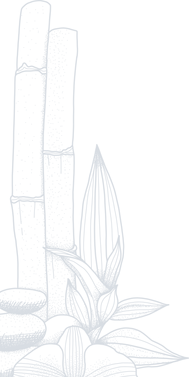 Paya Bamboo Shape